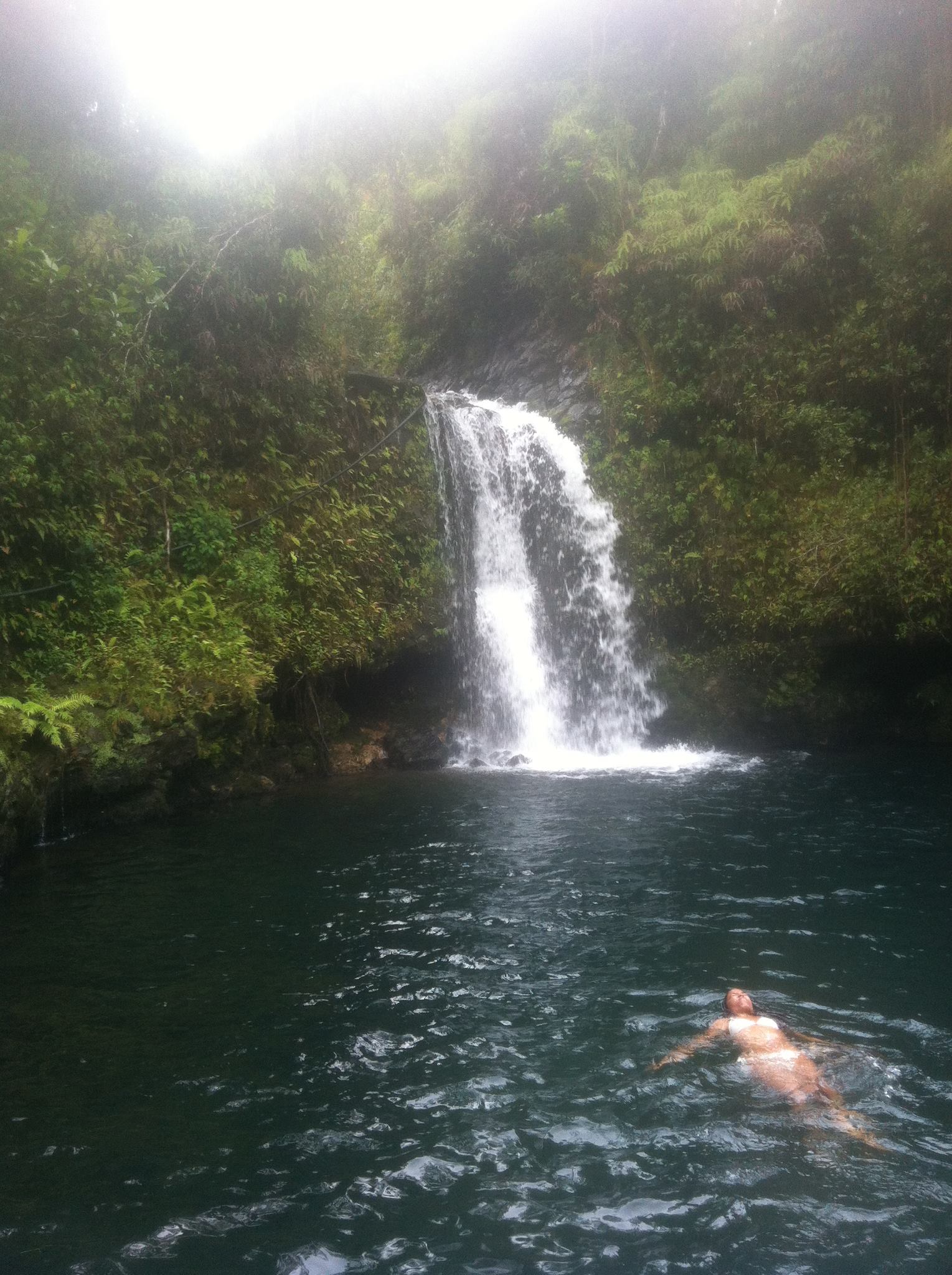 620989_10101417456901908_832429789_o