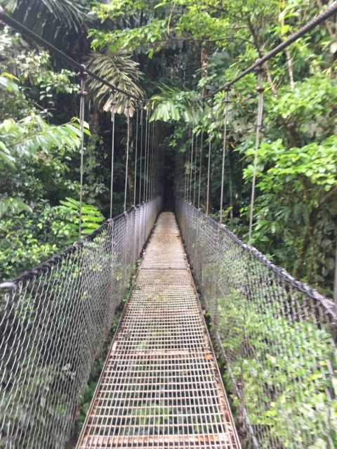 Photo Nov 24, 1 43 01 PM (1).jpg