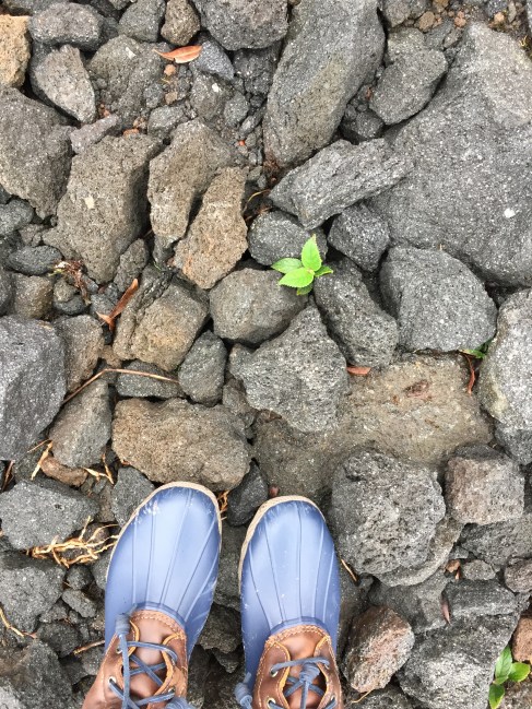 Photo Nov 24, 7 37 05 AM