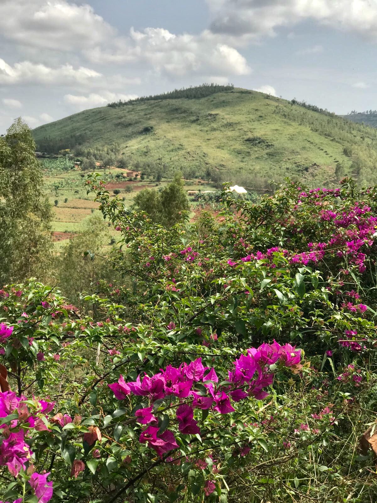 Photo Feb 25, 8 51 40 AM (2)