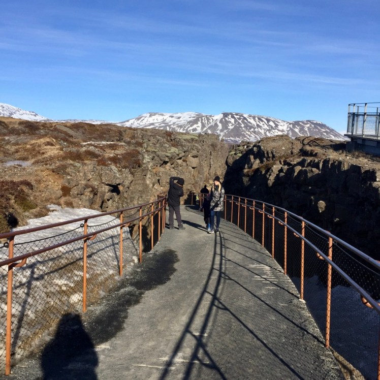 8fTN1oT5T3WnNK8eQFWZhA_thumb_1e12